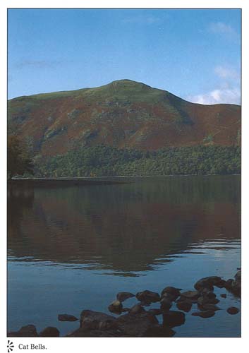 Cat Bells postcards